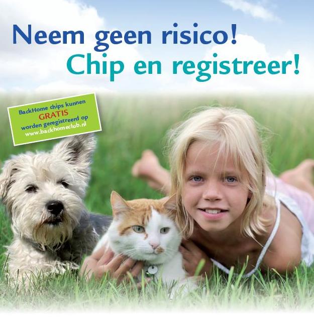 Juni Chipmaand!
