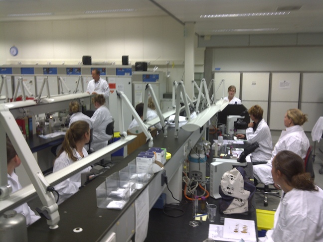 Cursus parasitologie paard laboratorium