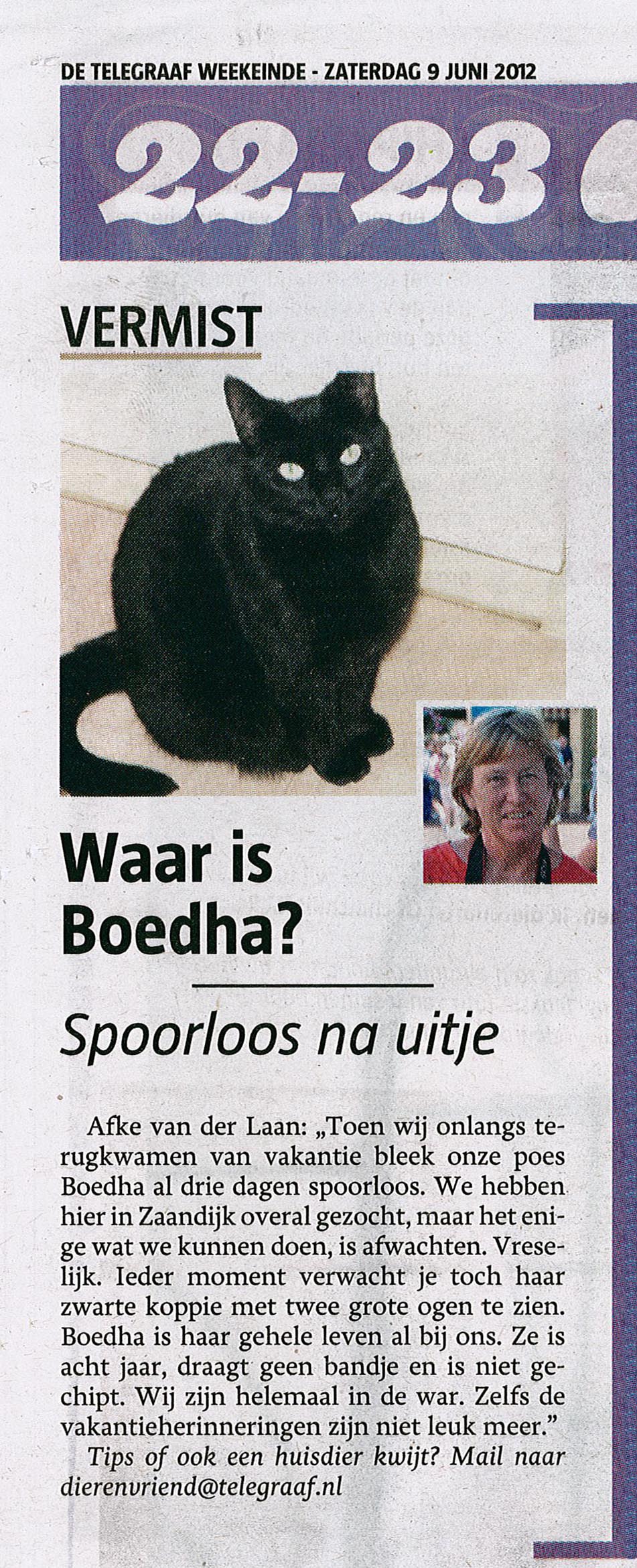 Vermiste kat Boedha