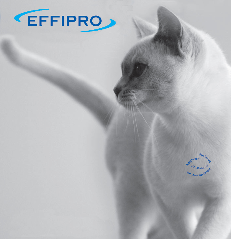 Effipro