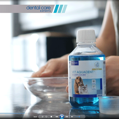 Virbac Dental Care Experts - Vet Aquadent