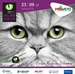 Veterinary HPM op Feline Focus 2017