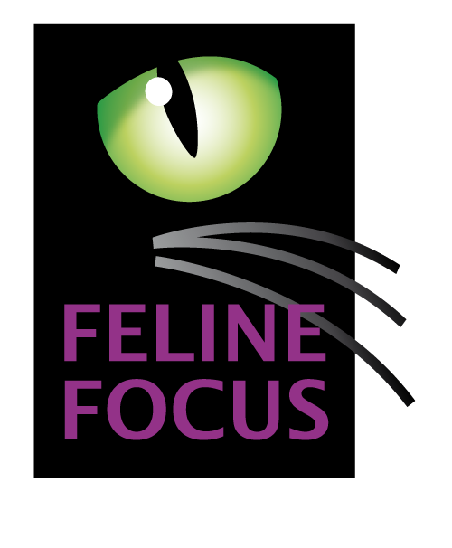 Veteinary HPM op Feline Focus 2017