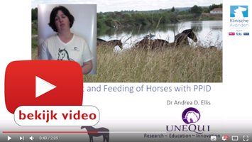 Klinische Avonden Paard  - Dr. Andrea Ellis