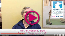 Prof. dr. Marianne Sloet