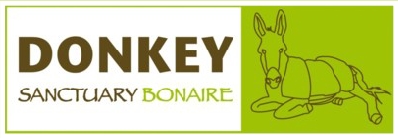 Donckey Sanctuary Bonaire