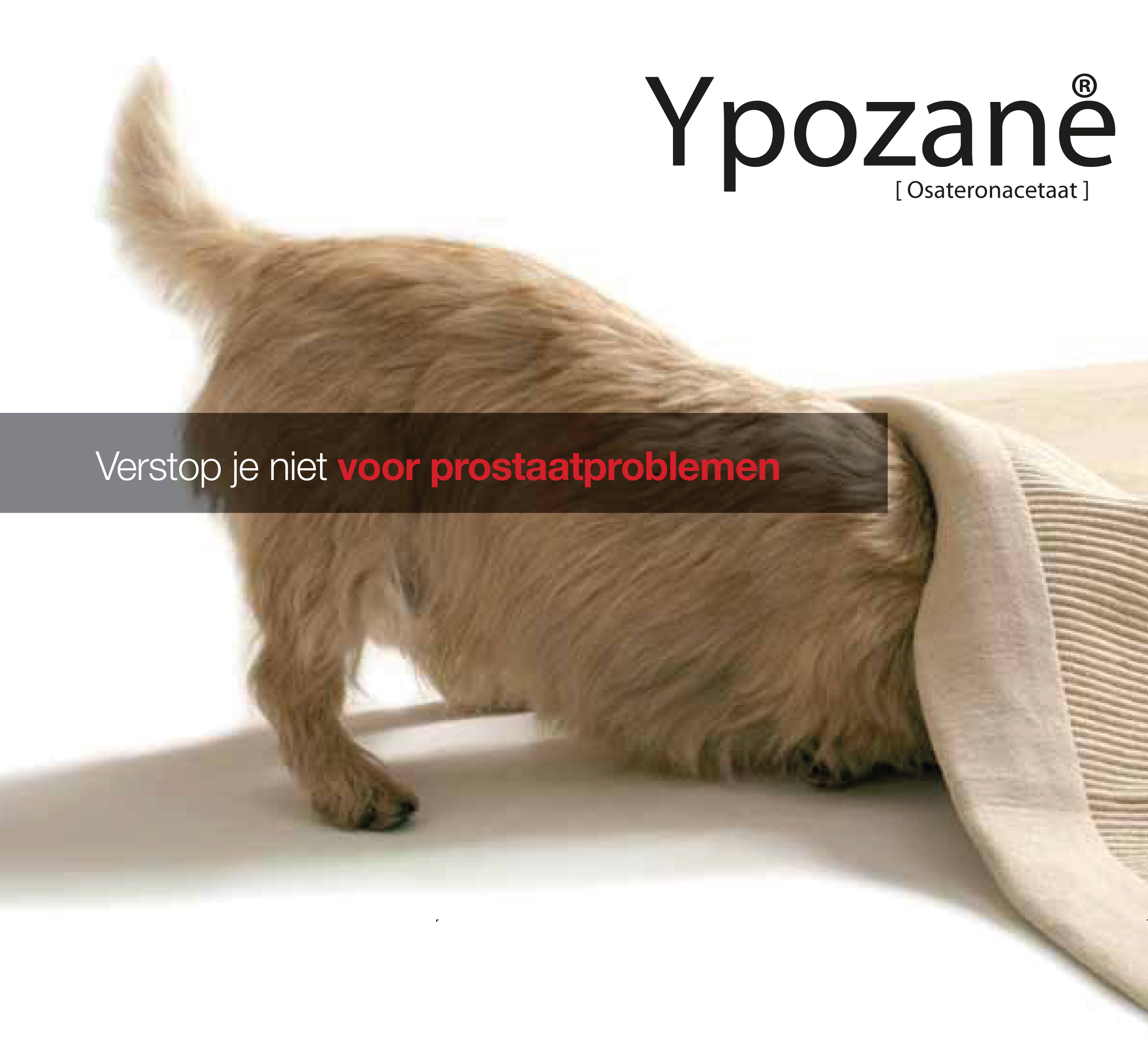 Speedrange goedaardige prostaat aandoening hond