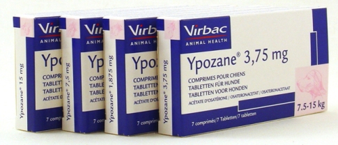 Ypozane