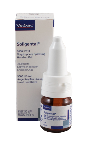 Soligental: gentamicine oogdruppel