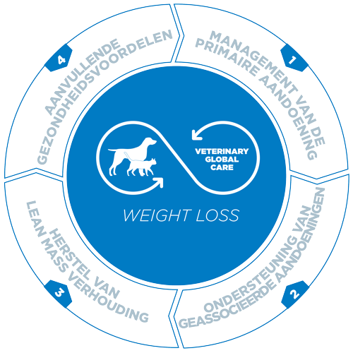 Veterinary HPM - Veterinary Global Care Weight