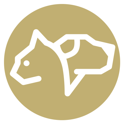Veterinary HPM - Ouder wordende hond of kat