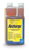 Recharge 1L