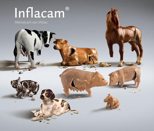 Inflacam