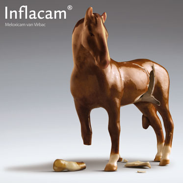 Inflacam