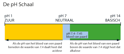 De pH van paardenbloed