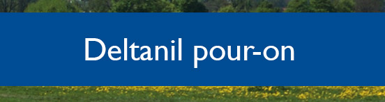 Button Deltanil pour-on