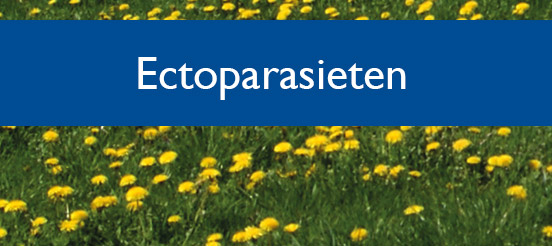 Button ectoparasieten