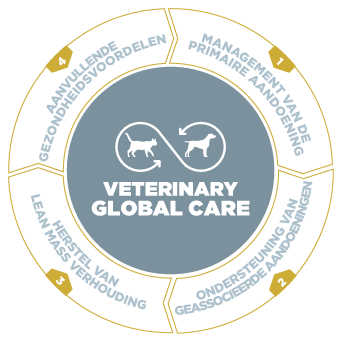 Veterinary Global Care